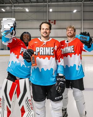 Image post by @the.team.hockey on Instagram