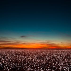 Image post by @txextension on Instagram