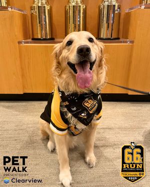 Image post by @mariolemieuxfdn on Instagram