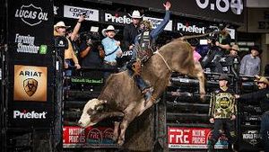 Video post by @pbr on YouTube