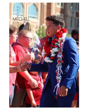 Image post by @mitchellsport on Instagram