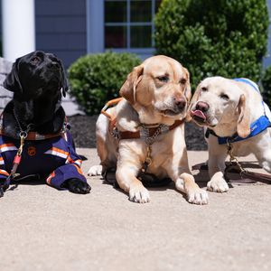 Image post by @nyislespup on Instagram