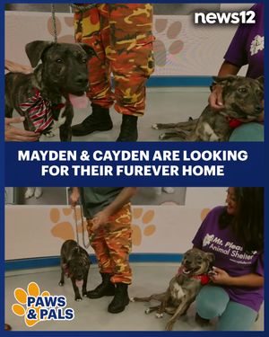 Image post by @news12nj on Instagram