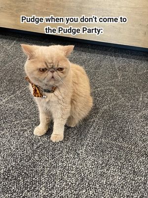 Image post by @unclepudgy on Instagram