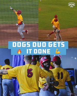 Image post by @americanassociation on Instagram