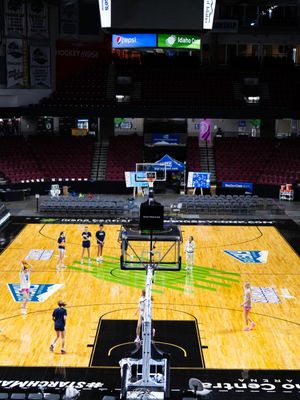 Image post by @msubobcatswbb on Instagram
