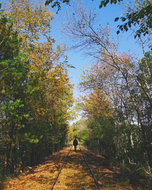 Image post by @kirstenalana on Instagram