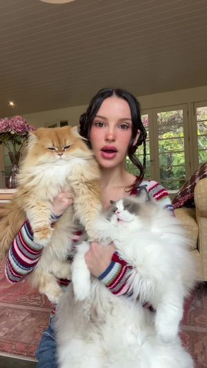Video post by @lyssielooloo on TikTok