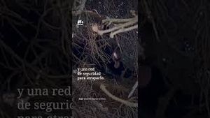 Video post by @nmasunivision on YouTube