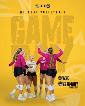Image post by @wscwildcatvb on Instagram