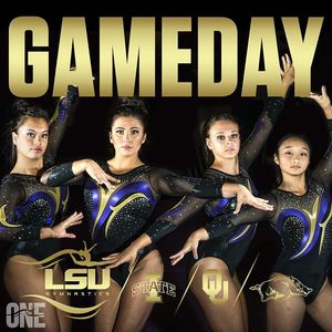 Image post by @lsugym on Instagram
