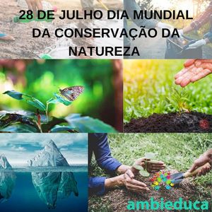 Image post by @operitoambiental on Instagram