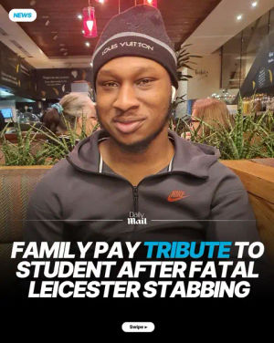 Image post by @dailymailuk on TikTok