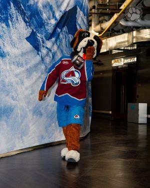 Image post by @AvsBernie on Twitter