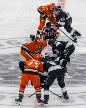 Image post by @anaheimducks on Instagram