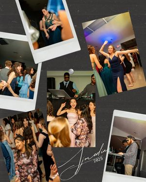 Image post by @sj_media_productions on Instagram