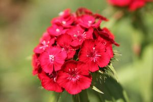 Image post by @JasonGrohoskePhotography on Facebook