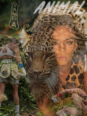 Image post by @animal.boxing on Instagram