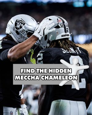 Image post by @raiders on Instagram