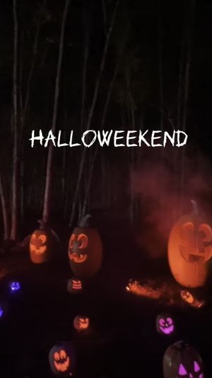 Video post by @lib_laughlove on TikTok
