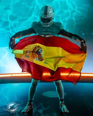 Image post by @losdolphins on Instagram