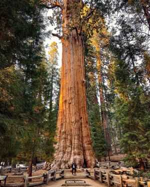 Image post by @nationalparkscollective on Instagram