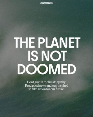 Image post by @commonsearth on Instagram