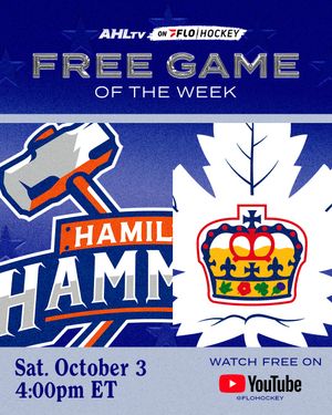 Image post by @theahl on Instagram