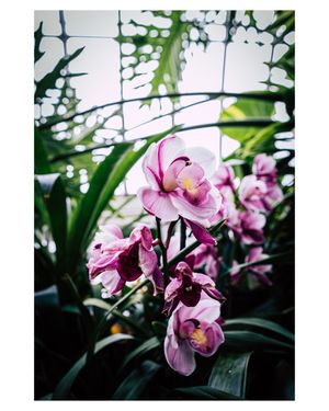 Image post by @stephenlasnickmedia on Instagram