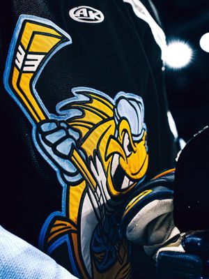 Image post by @toledowalleye on Instagram
