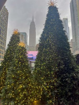 Image post by @34thStNYC on Twitter