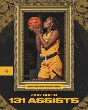 Image post by @uapblionswbb on Instagram