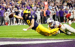 Image post by @AriannaGrainey on Twitter