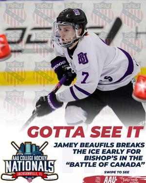 Image post by @aau_collegehockey on Instagram