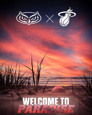 Image post by @fauathletics on Instagram