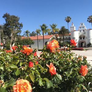 Image post by @sdsufowler on Instagram