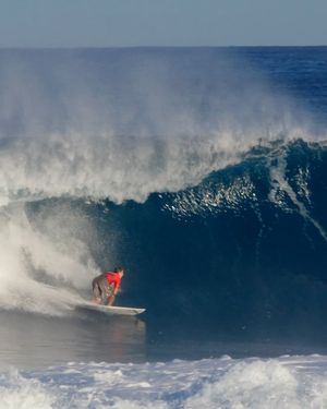 Image post by @cole_houshmand on Instagram