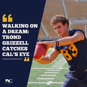 Image post by @dailycalsports on Instagram