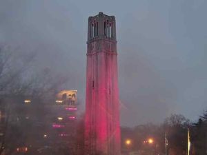 Image post by @wolfpackgymnastics on Instagram