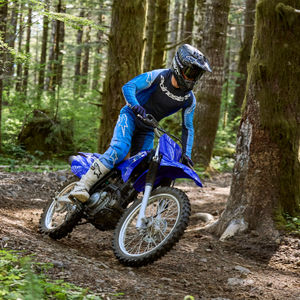 Image post by @yamahamotoraus on Instagram