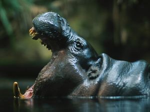 Image post by @discovery on Instagram