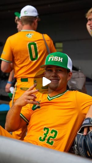 Image post by @capecatfish on Instagram