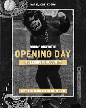 Image post by @bigfootsbaseball on Instagram