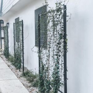 Image post by @thebowiesa on Instagram