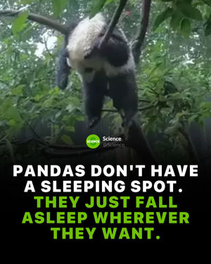 Image post by @science on Instagram