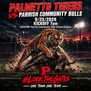 Image post by @palmetto_football on Instagram