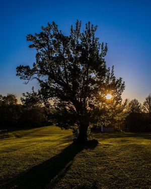 Image post by @mfassmedia on Instagram