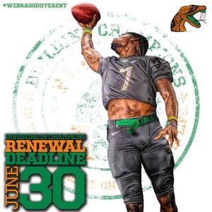 Image post by @famuathletics on Instagram