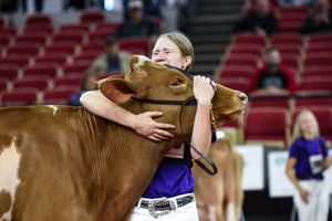 Image post by @wdexpo on Instagram