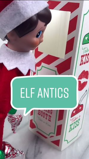 Video post by @livinglocurto on TikTok